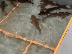 -金明姬铁锅炖(东坝店)