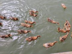 -野鸭湖国家湿地公园