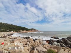-广东惠东海龟国家级自然保护区