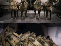 -秦始皇帝陵博物院-丽山园