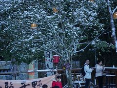 -宁波五龙潭景区