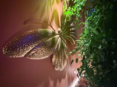 -霖公馆SPA·足道(普善路店)