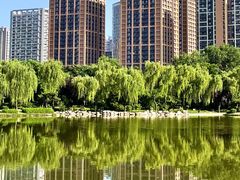 -木塔寺遗址生态公园