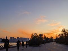 -星光岛