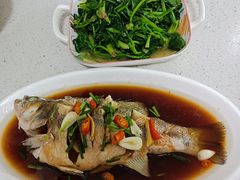 -红樱桃月嫂育婴师(徐汇总店)