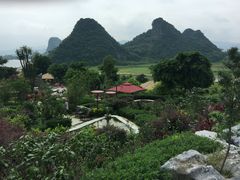 -英德宝晶宫天鹅湖茶语温泉