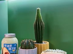 -森茶(湛江万达店)