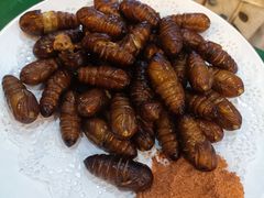 -一口猪海鲜浑锅·东北家常菜