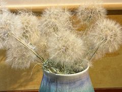 -中国宋庆龄青少年科技文化交流中心
