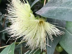 -南通洲际绿博园