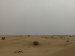 -迪拜沙漠冲沙