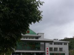 -打洛口岸