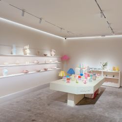 -SALON DE VANHADA