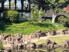 -厦门园林博览苑
