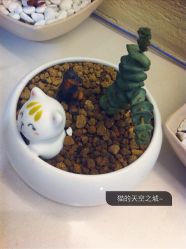 iphone_upload_pic-EasyLady美甲沙龙