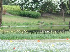 -上海滨江森林公园