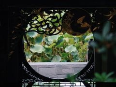 -桂湖森林公园