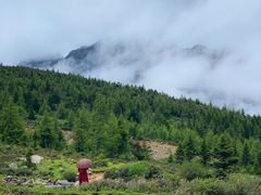 -亚拉雪山风景区