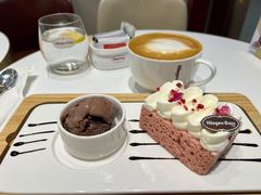-哈根达斯(陆家浜路店)