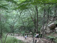 -王顺山国家森林公园