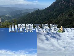 -王顺山国家森林公园