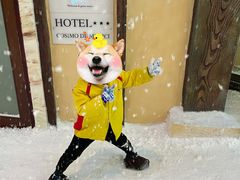 -世界之窗阿尔卑斯冰雪世界