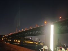 -武汉两江游览·夜游长江(汉口粤汉码头)