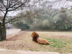 -乐和乐都主题乐园