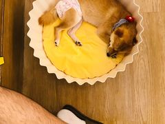 -伊隆斋(什刹海店)