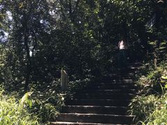 -九曜山