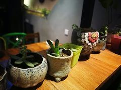 -九头鸟酒家(东高地店)