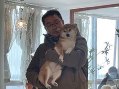 -共舞时光猫咖·狗咖(新街口店)