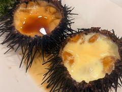 海胆蒸蛋-巧克力渔家.小船海鲜胶东菜(万平口店)