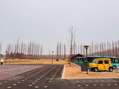 -黄海国家森林公园