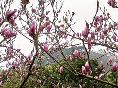 -黔灵山公园