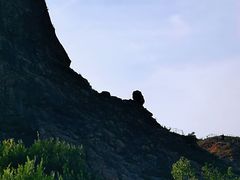 -仙人岛