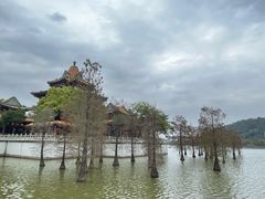 -顺峰山公园