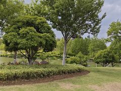 -桃花岛公园