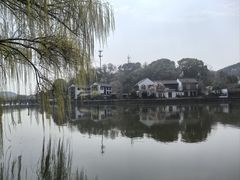 -鲁镇