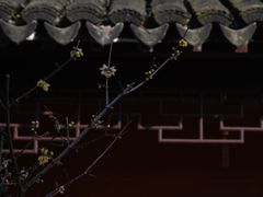 -黎里古镇