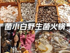 -菌小白火锅(时尚天河店)