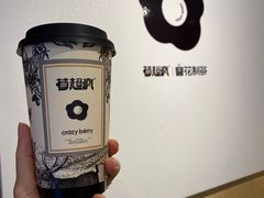 -莓超疯(百源店)