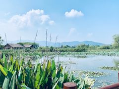 景点-长兴太湖图影湿地文化园