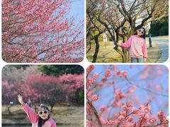 -白塘生态植物园