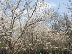 -御花园·粤菜·海鲜火锅(中山公园店)