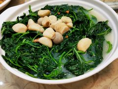 上汤白花菜-联邦酒楼