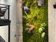 -HITEA嘆萃(北江新区店)