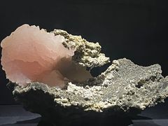 -山东博物馆