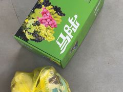 -马陆小张葡萄园农家乐