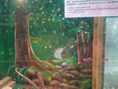 -上海大自然野生昆虫馆(东方明珠·爬宠昆虫探索中心)